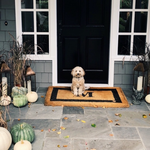 Meet your Posher, Jamie - Picture 1 of 1